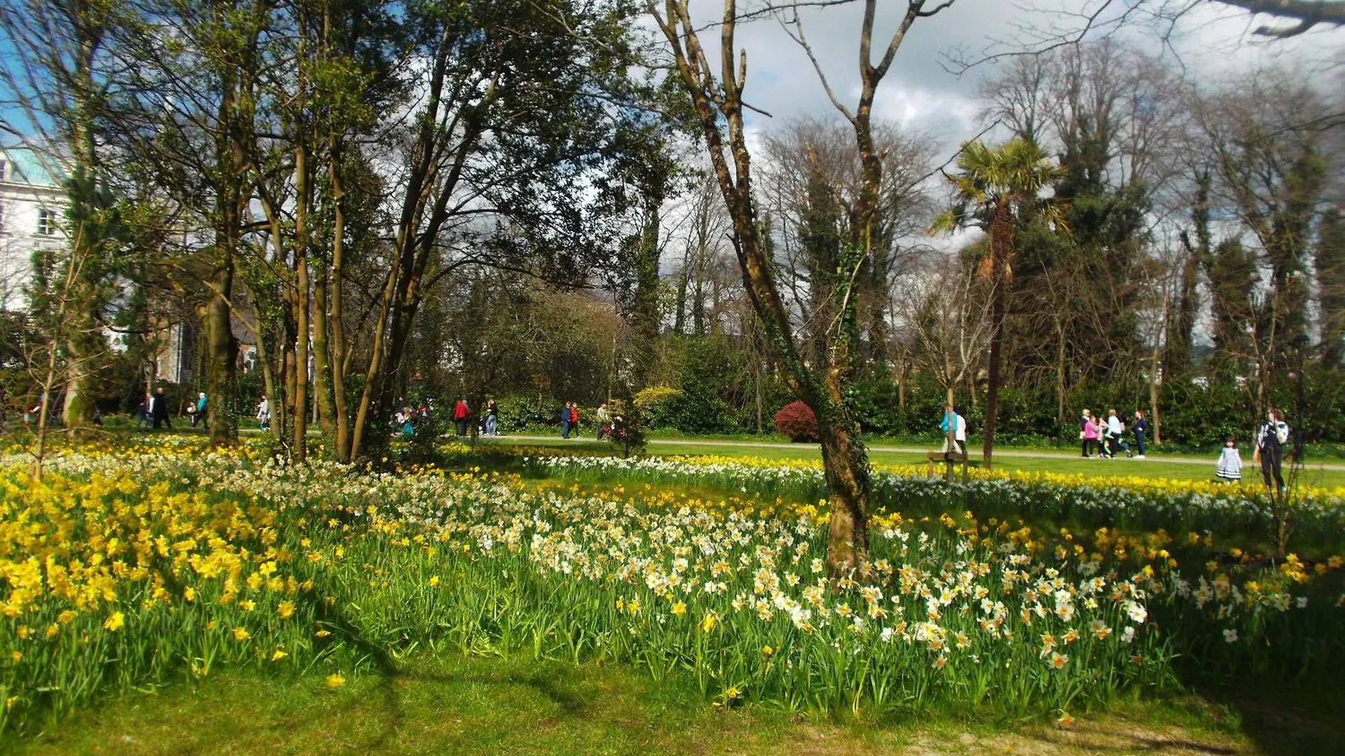 Kerry Holiday Homes At The Killarney Holiday Village
